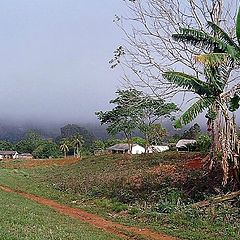 фото "early morning fog"