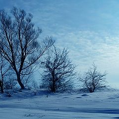 фото "Холодно."