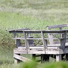 photo "The Old Dock"