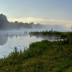 photo "Morning on the Cold pond"