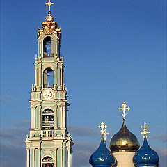 фото "В вечернем свете."