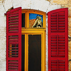 photo "Red Window"