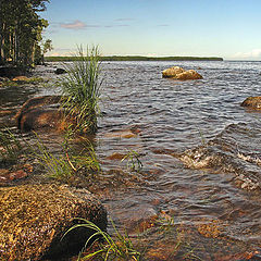 photo "Onega"