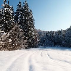 фото "long ,long winter"