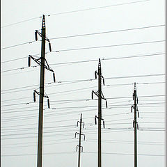 photo "Electric power lines"