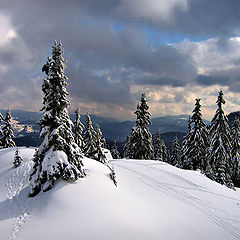 photo "The Rhodopes"