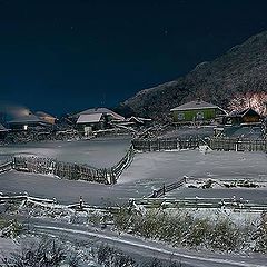photo "Vegetable garden in winter"