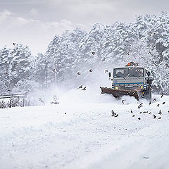 фото "Лишний снег"