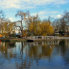 photo "Calm Waters"