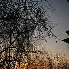 фото "Зимний восход."