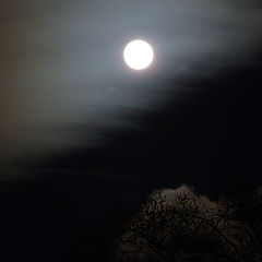 photo "Moon"