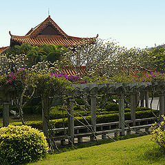 photo "Buddhistic park"