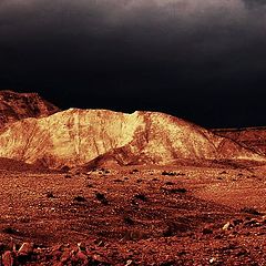 photo "Red desert"