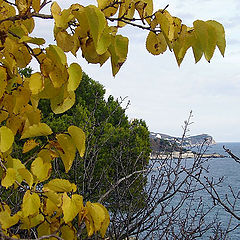 photo "Crimean Autumn"