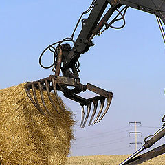 photo "The iron monster has breakfast."