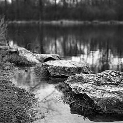 photo "Stones"