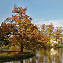 photo "Solitude"