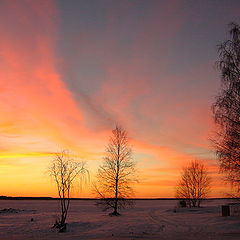 photo "The Magic of the  Northern sunset2"