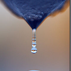 photo "About drop"