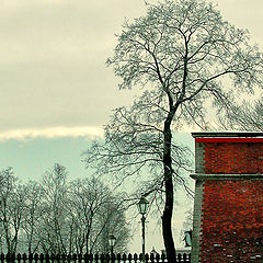 photo "Farewell, winter..."