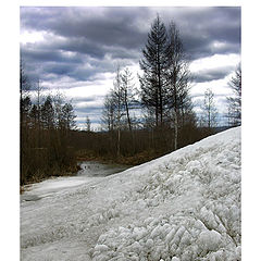 photo "Permafrost"