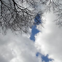photo "a glinpse of sky"