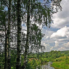 photo "The river Nerl"