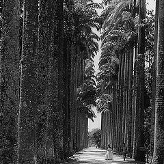 photo "Natural corridor"