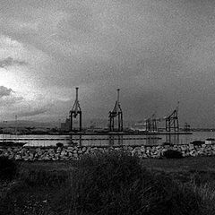 фото "Giants"