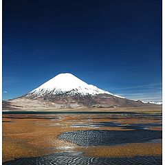 фото "Parinacota peak & Chungara lake"