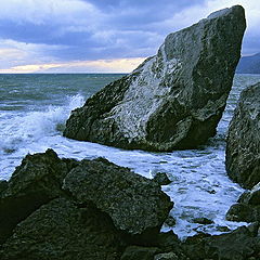 фото "before a storm"