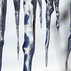 photo "Hanging Ice"