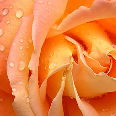 photo "Toscana"