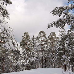 photo "Park Monreno (Vyborg)"