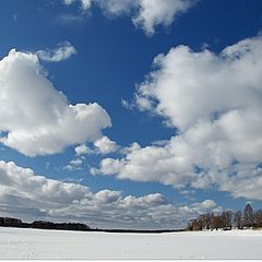 фото "Ах небо..."