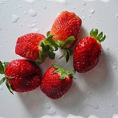 photo "Strawberry."