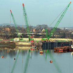 фото "Crane reflections"