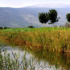 photo "Silence of Galileya"