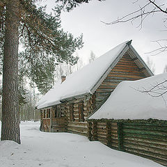 фото "Почти в лесу"