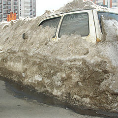 photo "After a long winter"