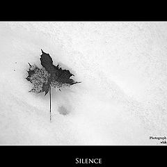 photo "Silence"