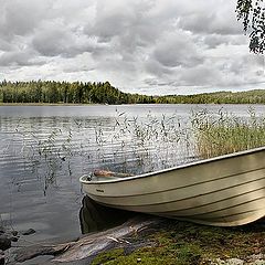 photo "Adorable Finland"