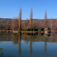 фото "skinny-dipping"