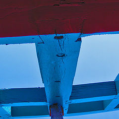 photo "Wood and Sky"