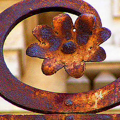 photo "Old Rusty Flower"