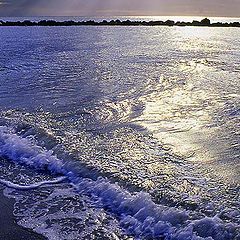 фото "The colors of one dawn in river to the sea"
