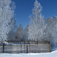 фото "За околицей"