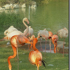 photo "Orange revolutionaries"