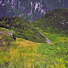 photo "How green is mountain grass."