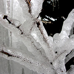 фото "winter ice"